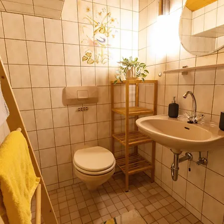 Froschkoenig Mit Sauna Inkl Koenigscard Daire