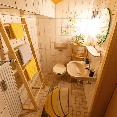 Froschkoenig Mit Sauna Inkl Koenigscard Apartment *