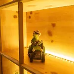 Apartment Froschkönig Mit Sauna, Gratis Skifahren Dank Königscard, Bergblick, Wlan, Parkplatz *