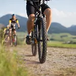 Froschkönig Mit Sauna, Gratis Skifahren Dank Königscard, Bergblick, Wlan, Parkplatz *