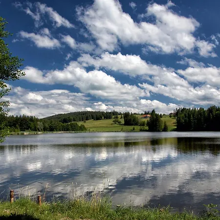 Διαμέρισμα Froschkoenig Mit Sauna & Bergblick, Self-check-in, Wlan, Parkplatz, Zentrumsnah